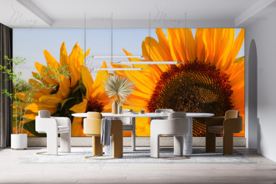 p-07-144-sunflowers-z p-07-144-sunflowers-z