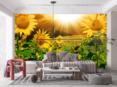 p-07-145-поле подсолнухов (1)-z p-07-145-поле подсолнухов (1)-z