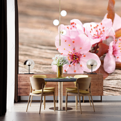 p-07-151-цвіт сакури на дереві-z p-07-151-цвіт сакури на дереві-z