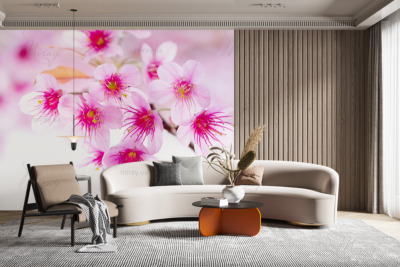 p-07-153-cherry blossom-z p-07-153-cherry blossom-z