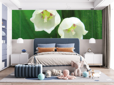 p-07-172lands1-z p-07-172lands1-z