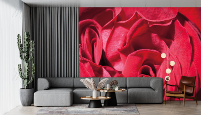 p-07-173-scarlet rose-z p-07-173-scarlet rose-z