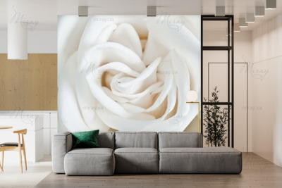 p-07-175-белая роза-z p-07-175-белая роза-z