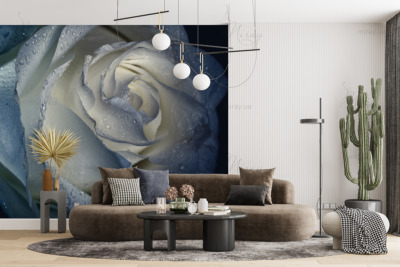 p-07-178-бело голубая роза-z p-07-178-бело голубая роза-z