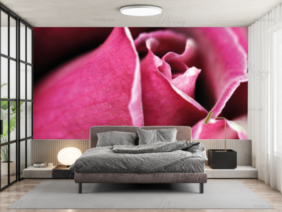 p-07-183-бутон малиновой розы-z p-07-183-бутон малиновой розы-z