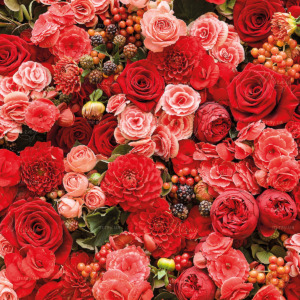 p-07-188-яркий фон из красных роз p-07-188-яркий фон из красных роз