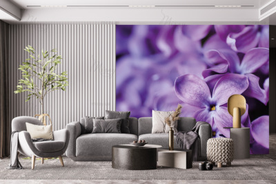 p-07-193цветкі сірені2-z p-07-193цветкі сірені2-z