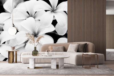 p-07-194-чорно білий бузок-z p-07-194-чорно білий бузок-z