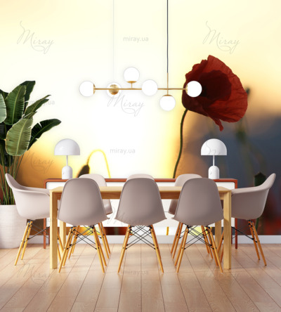 p-07-198-poppy at sunset-z p-07-198-poppy at sunset-z