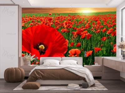 p-07-200-маковое поле-z p-07-200-маковое поле-z