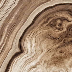 Texture,Of,Roots,Of,Tree,With,Wavy,Lines,And,Age Texture,Of,Roots,Of,Tree,With,Wavy,Lines,And,Age