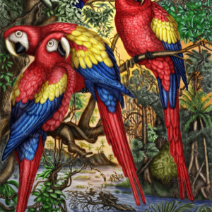 p-12-039-живопись попугаи p-12-039-живопись попугаи