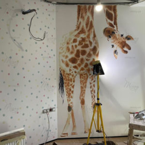 D-05-069-foto-2 D-05-069-foto-2