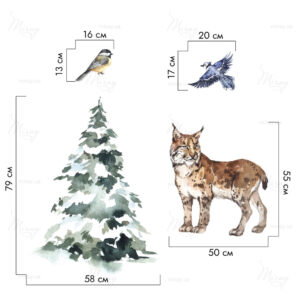 размеры-рысь размеры-рысь