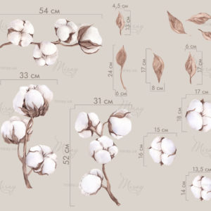 n-01-029-size n-01-029-size