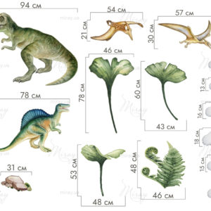 n-01-031-size n-01-031-size