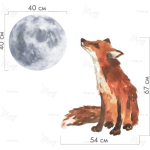 n-01-035-size n-01-035-size