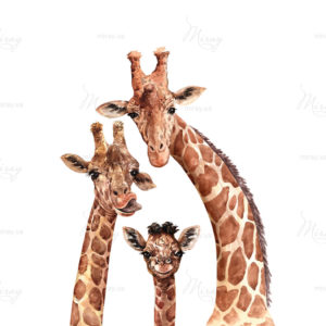 d-05-072-S d-05-072-S