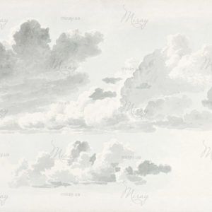 d-17-019-s d-17-019-s