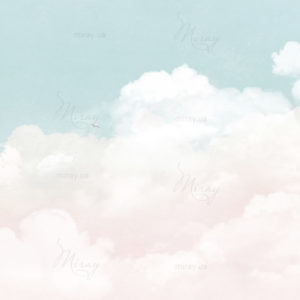 d-17-020-s d-17-020-s