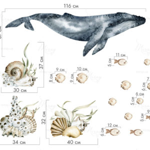 n-01-042-size n-01-042-size