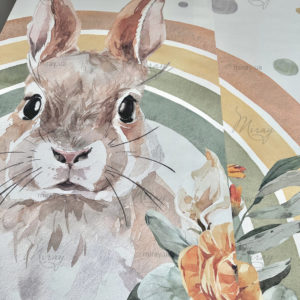 D-24-004-Foto D-24-004-Foto