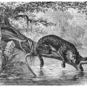 d-05-109-s d-05-109-s