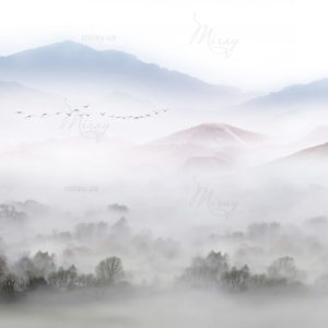 d-10-051-s d-10-051-s