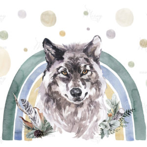 d-24-007-s d-24-007-s