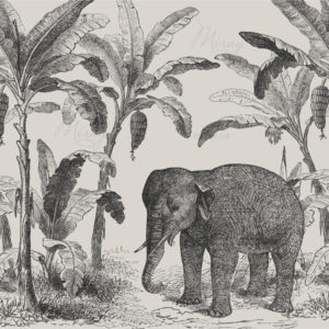 d-08-021-s d-08-021-s