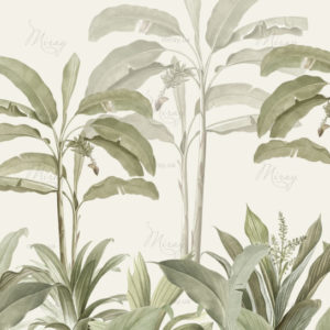 Banana illustration from Les liliacées (1805) by Pierre J Banana illustration from Les liliacées (1805) by Pierre J