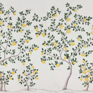 d-21-147-s d-21-147-s