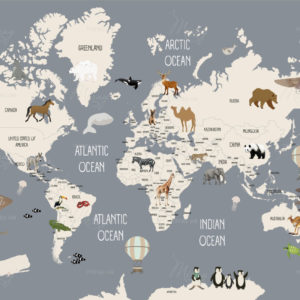 Карта_серая новая Карта_серая новая