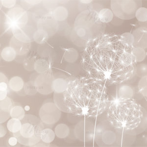 Одуванчики Одуванчики