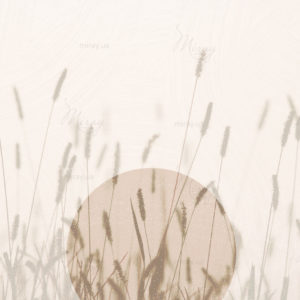 d-21-161-s d-21-161-s