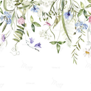 Wild,Field,Herbs,Flowers.,Watercolor,Seamless,Border,-,Illustration,With Wild,Field,Herbs,Flowers.,Watercolor,Seamless,Border,-,Illustration,With