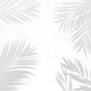 d-21-173-s d-21-173-s