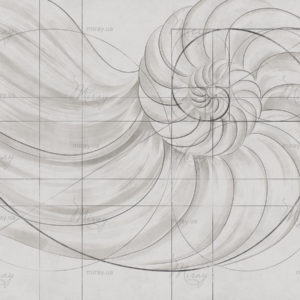 d-18-062-s d-18-062-s