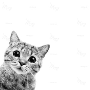 d-05-149-s d-05-149-s