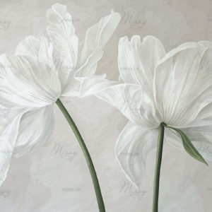 d-14-293-s d-14-293-s