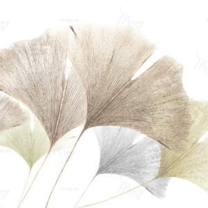 d-21-190-s d-21-190-s