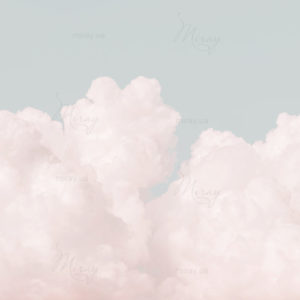 d-17-012-1-s d-17-012-1-s