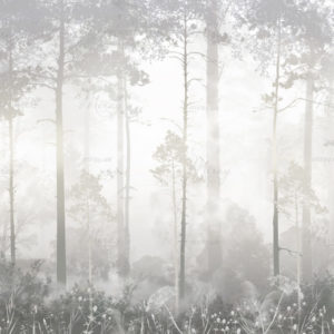 misty forest in the fog wallpaper black and white misty forest in the fog wallpaper black and white